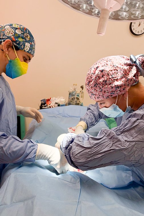 Dr. Alexis Kidd performing surgery at Flora Family Vet