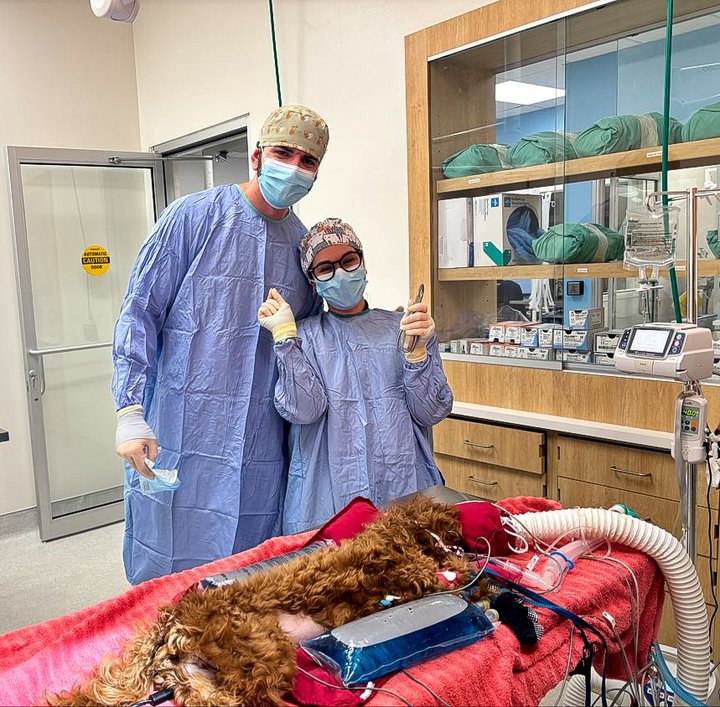 Dr. Lima and Dr. Seda celebrating her first spay surgery at Flora Family Vet