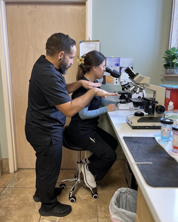 A Flora Family Vet veterinarian teaching at the microscope