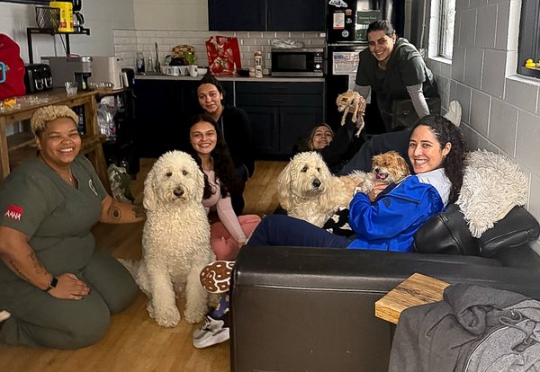 Flora Family Vet team members relaxing with two doodles in the break room