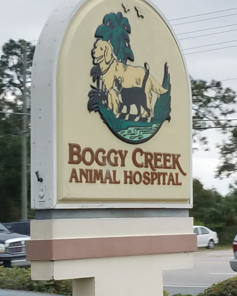 story-1-1-new Flora Family Vet veterinary team and practice in Kissimmee FL